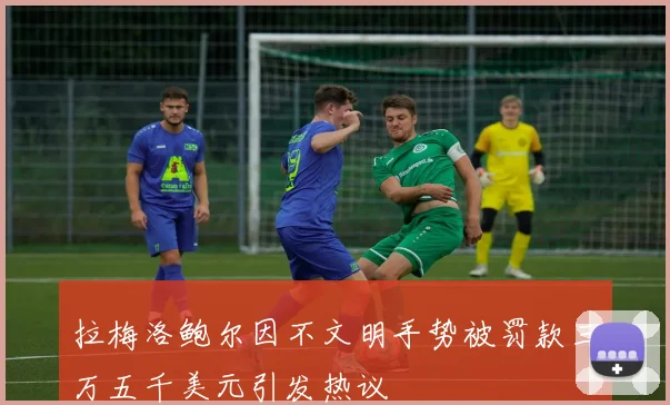 拉梅洛鲍尔因不文明手势被罚款三万五千美元引发热议
