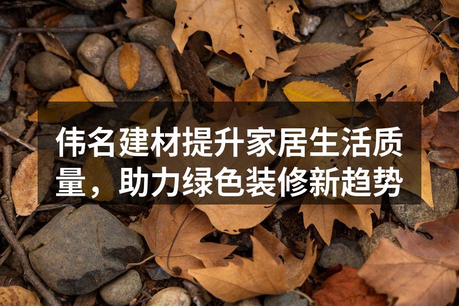 伟名建材的新产品展示会