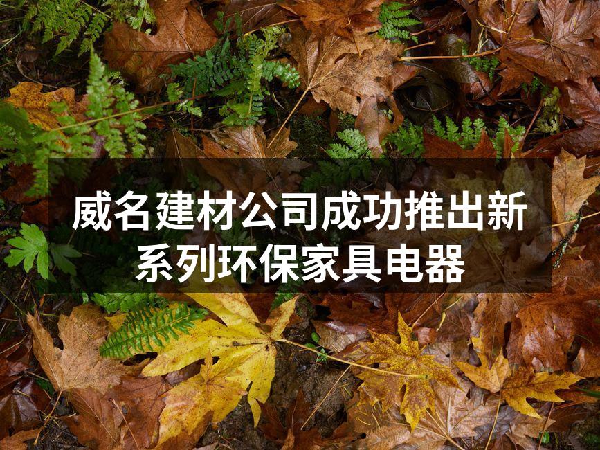 威名新系列环保家具电器展示