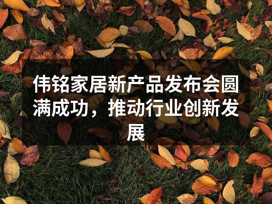 伟铭新产品发布会现场