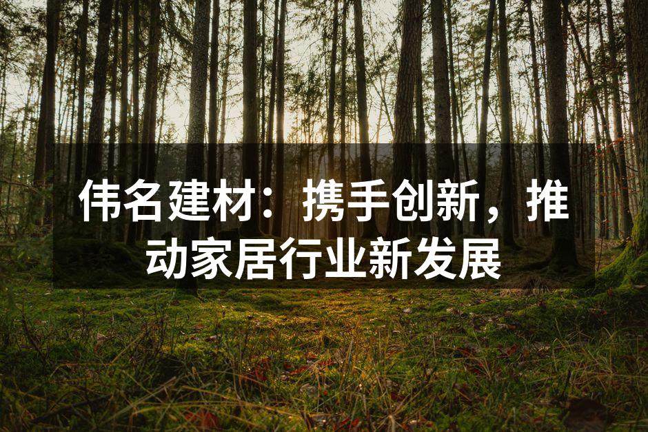伟名建材新产品展示会现场